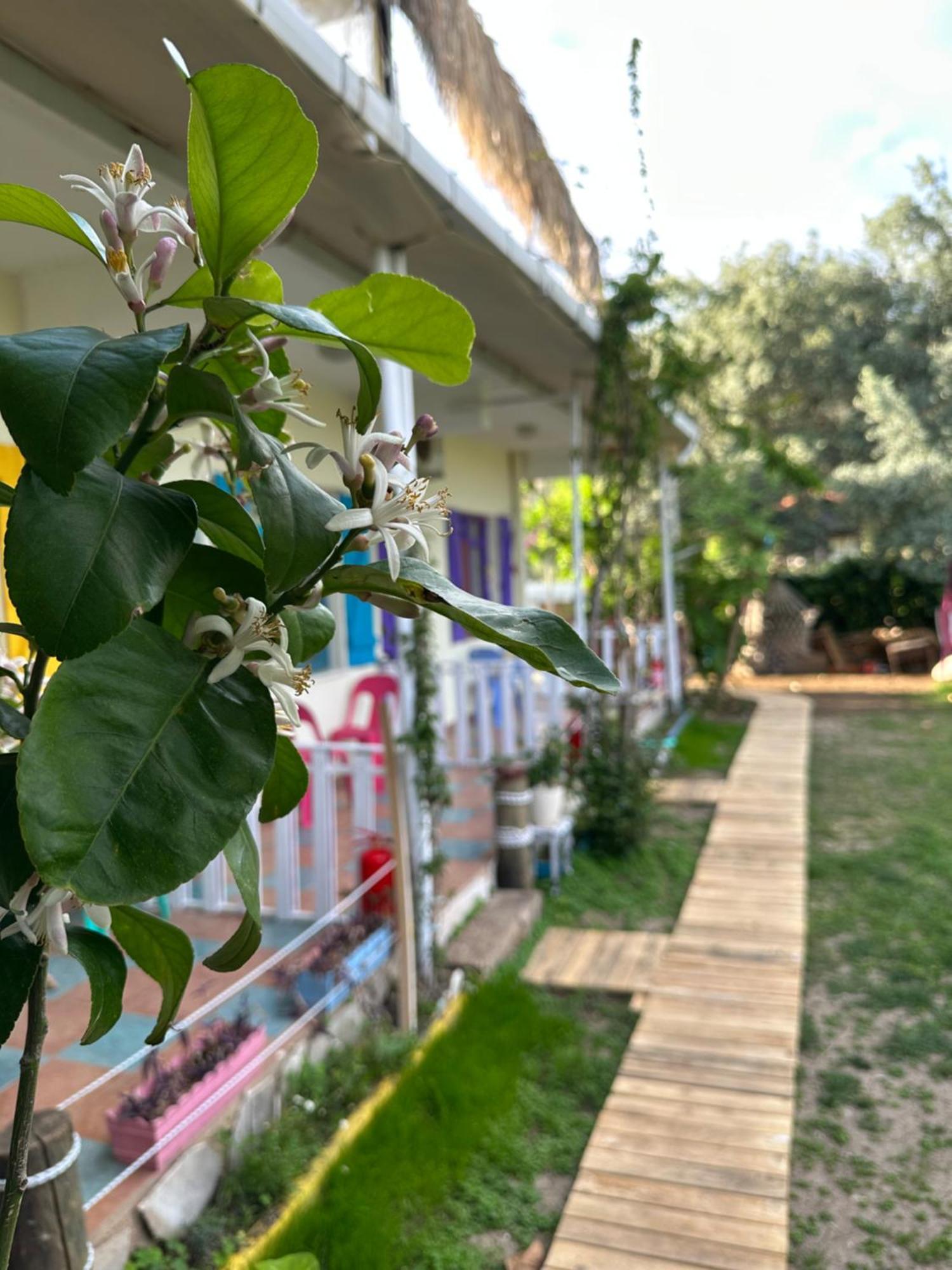 Gaya Pansiyon Cirali Kemer Exterior foto